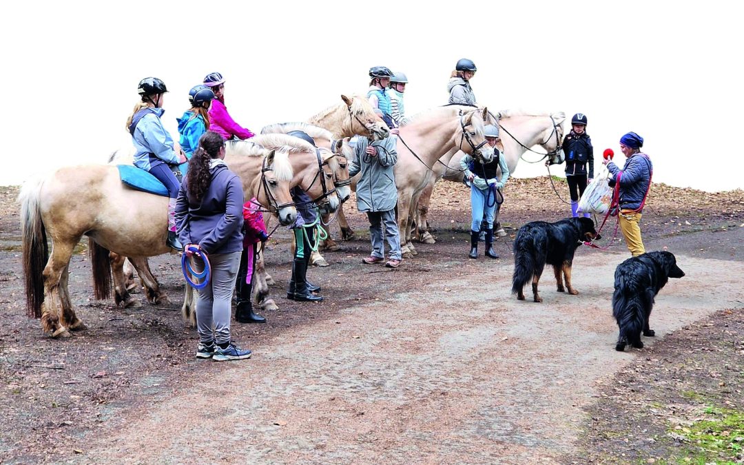 Girls only – Reiten für Mädchen