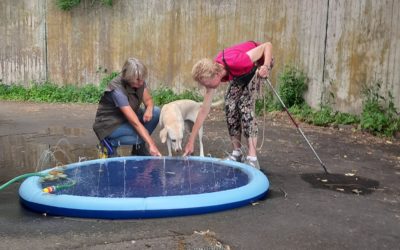 Frau(chen) und Hund (2)