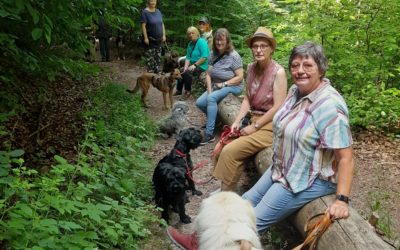 Frau(chen) und Hund (1)