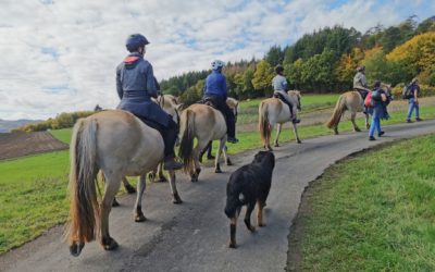 Pilgern mit dem Pferd