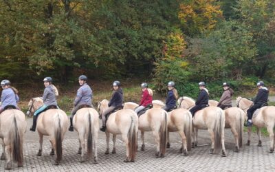 Girls only – Reiten für Mädchen