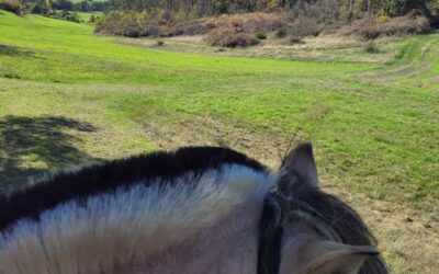 Mutter – Tochter – Pferd (2)