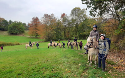 Pilgern mit dem Pferd